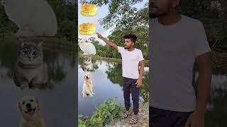 29Jun 2024 to,new biskit and dog,cat, khorgosh,bokre, elephant, short magic VFX video, viral,