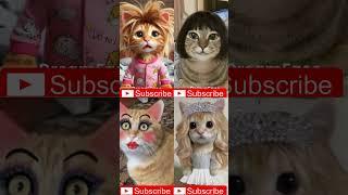 APT APT cat funny version#catdance #dance #apt #rosé #apt #funny #youtubeshorts #ytshorts #cat