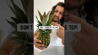 How to grow pineapples using a store-bought pineapple!  creative explained