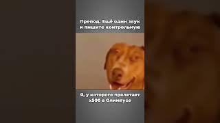400 ФРИСПИНОВ в шапке канала #maxwin #zubarefff #treputin #vitus #ludojop #а4 #mellstroy