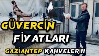 GAZİANTEP GÜVERCİN KAHVELERİNDEKİ FİYATLAR!!!