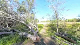 Insta360 X4-Steep Bank Creek and FloCity