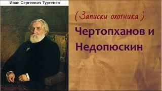 Иван Сергеевич Тургенев.  Чертопханов и Недопюскин. аудиокнига