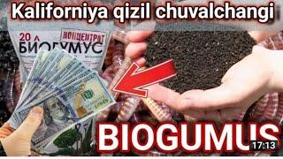 400$TIKIB // 5000$DAROMAT BIR SEZONDA BEZNIZ //ZAKAZUCHUN +998999080124