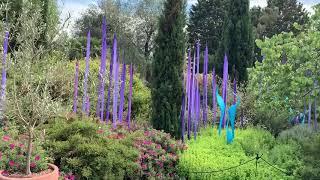 Дейл Чихули в Лондоне, 2019  Dale Chihuly in Kew Gardens, London, 2019