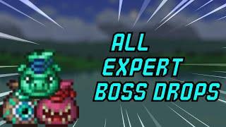 Terraria 1.4 | All Expert Mode Boss Drops