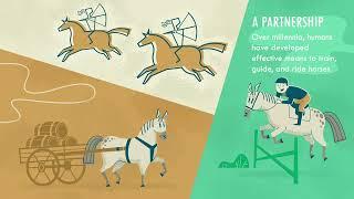 Priority to Positive A Practical Equestrians Guide to Positive Reinforcement   Via Nova