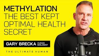 Methylation | The Best Kept Optimal Health Secret