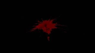 Blood Splash And Hits Compilation [4K Video FX Free Download]