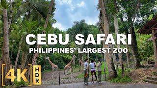 Full Tour at the LARGEST Zoo in the Philippines! CEBU SAFARI & ADVENTURE PARK | Carmen, Cebu