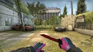 CS:GO URSUS KNIFE CRIMSON WEB FIELD-TESTED | SKIN SHOWCASE