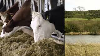 Dealing with water at Rainton farm