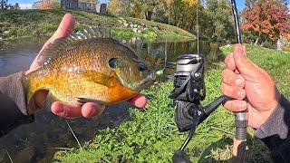 JUMBO BLUEGILL CATCH, CLEAN, COOK!!