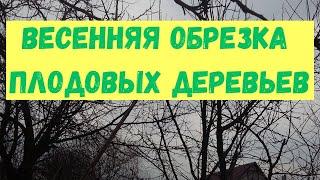 Обрезка сада весной, нужна или нет