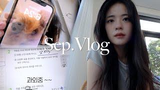 (Eng)의대생 vlog | 9월 일상 기록 ️/ med student's vlog | 과외하고 과외하고 과외하는 하루하루 | 재테크, 필라테스, 설탭