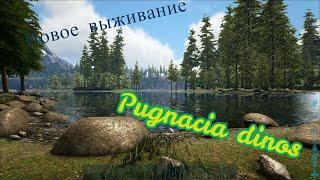 Новое выживание с модом ARK: Survival Evolved - Pugnacia dinos № 1