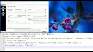 Как вырезать фрагмент MKV файла через MKVToolNix GUI