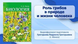 Тема 11. Роль грибов в природе и жизни человека