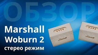 Обзор Marshall Woburn 2 и, как подключить их в стерео режим