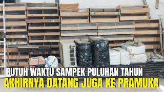 BUTUH WAKTU PULUHAN TAHUN !  AKHIRNYA BURUNG IMPORT INI DATANG JUGA DI PASAR PRAMUKA