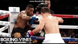 Boxing Vines#3