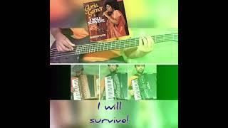 I will survive - Accordion Cover