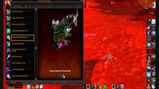 WOW MOP All my mounts and companions!