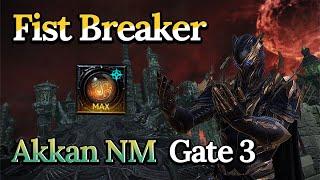 [Lost Ark]1580 Fist Breaker(Build 2.0) - Akkan NM G3