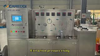 Pumpkin seeds oil extraction by Careddi Supercritical co2 extractor.