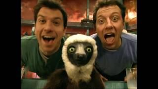 Zoboomafoo - Theme Song