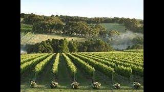 Executive Chef- Mornington Peninsula- Forward thinking Chef w strong knowledge in “Hatted” culture