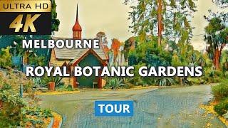 [4k] Melbourne Gardens Tour | Royal Botanic Gardens Victoria tour | Melbourne Botanic Garden