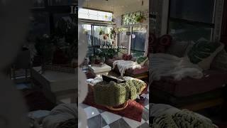 If this is your vibe? #sunroom #houseplants #plantslover #interiorstyling #bohohome