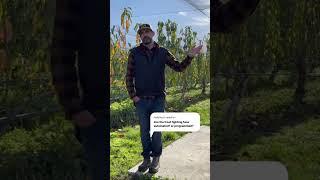 Are Our Frost Fighting Fans Automated?