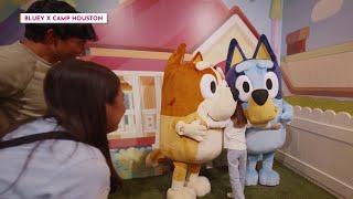 For real life! Step into Bluey's house at 'Bluey x Camp: An Immersive Adventure’