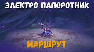 Электро папоротник - где найти и как добраться? Genshin Impact