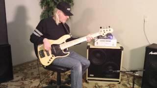 Avatar B212 Bass Guitar Speaker Cabinet Demo Eminence Delta 12 LF