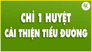 Cải Thiện BỆNH TIỂU ĐƯỜNG Khi Bấm Vào Huyệt Này | Sau 1 Tuần Sẽ Bất Ngờ | TCL