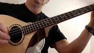 Nyberg Short-Scale Irish Bouzouki demo; katalox body, red spruce flat-top