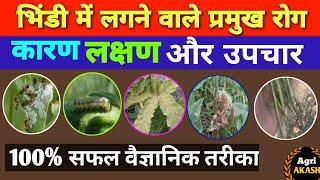 okra diseases control | भिंडी की खेती | ladyfingar diseases   in hindi | भिंडी की खेती में रोग