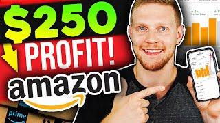 How I Made $250 Profit In One Day Amazon Dropshipping In 2020