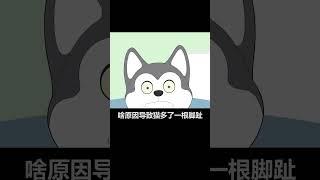 【宠物科普】你知道猫咪怎么有6个脚趾头吗？