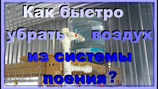 Очередная доработка системы поения