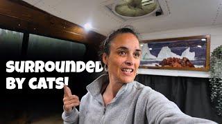 Passing through a wildfire zone | Van life Canada