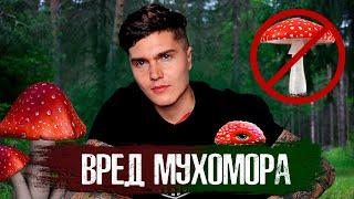 ОПАСНОСТЬ И ВРЕД ОТ МУХОМОРА | ЧЕМ ОПАСЕН И ЧЕМ ПОЛЕЗЕН МУХОМОР?  #андрей_арбенин