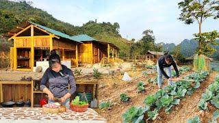 TIMELAPSE :From start to finish girl Build a wooden kitchen house on the island farm