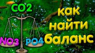 Нитрат и фосфат в аквариуме, пропорция Редфилда, водоросли в аквариуме.