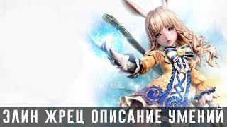 Tera M - Элин Жрец. Все умения на русском языке