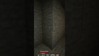 Minecraft: That Was Scary...  #shorts