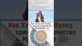 Как Халид бин Валид принял пророчество  Мухаммада (салалоху алайхи васаллама)